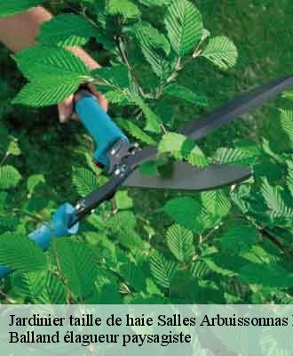 Jardinier taille de haie  salles-arbuissonnas-en-be-69460 Balland élagueur paysagiste