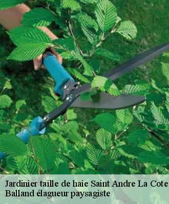 Jardinier taille de haie saint-andre-la-cote-69440 Balland élagueur paysagiste