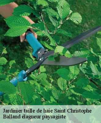 Jardinier taille de haie  saint-christophe-69860 Balland élagueur paysagiste