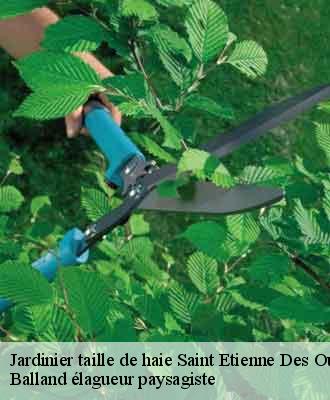 Jardinier taille de haie  saint-etienne-des-oullieres-69460 Balland élagueur paysagiste