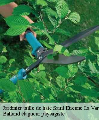 Jardinier taille de haie  saint-etienne-la-varenne-69460 Balland élagueur paysagiste