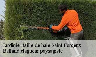 Jardinier taille de haie  saint-forgeux-69490 Balland élagueur paysagiste
