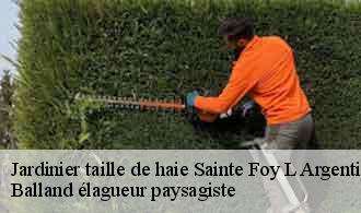 Jardinier taille de haie sainte-foy-l-argentiere-69610 Balland élagueur paysagiste
