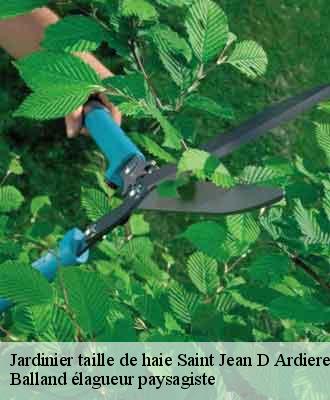 Jardinier taille de haie  saint-jean-d-ardieres-69220 Balland élagueur paysagiste