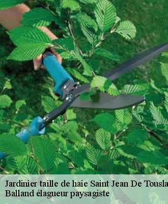 Jardinier taille de haie  saint-jean-de-touslas-69700 Balland élagueur paysagiste