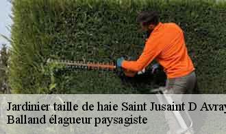 Jardinier taille de haie  saint-jusaint-d-avray-69870 Balland élagueur paysagiste
