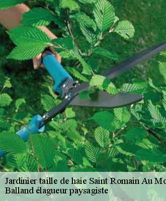 Jardinier taille de haie  saint-romain-au-mont-d-or-69270 Balland élagueur paysagiste