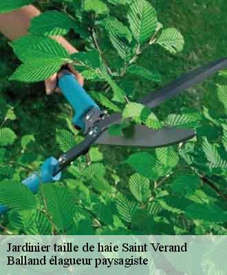 Jardinier taille de haie  saint-verand-69620 Balland élagueur paysagiste
