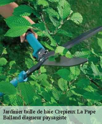 Jardinier taille de haie crepieux-la-pape-69140 Balland élagueur paysagiste