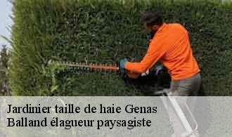 Jardinier taille de haie  genas-69740 Balland élagueur paysagiste
