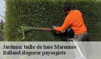 Jardinier taille de haie  marennes-69970 Balland élagueur paysagiste