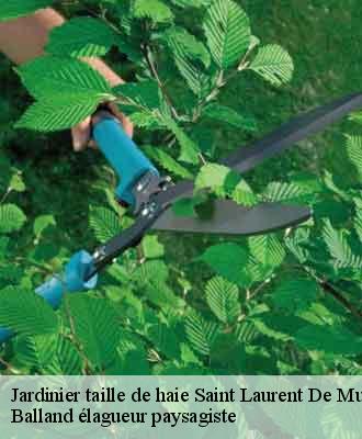 Jardinier taille de haie  saint-laurent-de-mure-69720 Balland élagueur paysagiste
