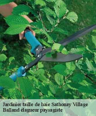 Jardinier taille de haie  sathonay-village-69580 Balland élagueur paysagiste