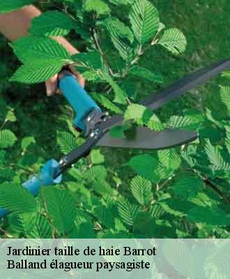 Jardinier taille de haie  barrot-69440 Balland élagueur paysagiste