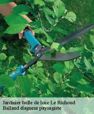 Jardinier taille de haie  le-richoud-69440 Balland élagueur paysagiste