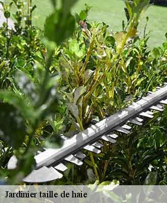 Jardinier taille de haie  roussilliere-69440 Balland élagueur paysagiste