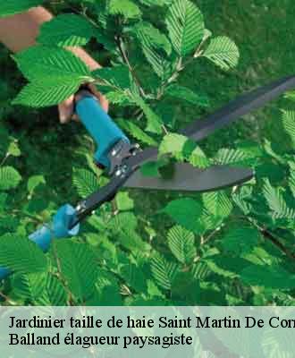 Jardinier taille de haie  saint-martin-de-cornas-69700 Balland élagueur paysagiste