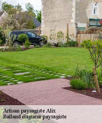 Artisan paysagiste  alix-69380 Balland élagueur paysagiste