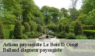 Artisan paysagiste  le-bois-d-oingt-69620 Balland élagueur paysagiste