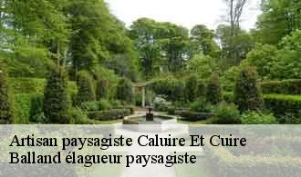 Artisan paysagiste  caluire-et-cuire-69300 Balland élagueur paysagiste