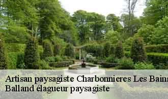 Artisan paysagiste  charbonnieres-les-bains-69260 Balland élagueur paysagiste