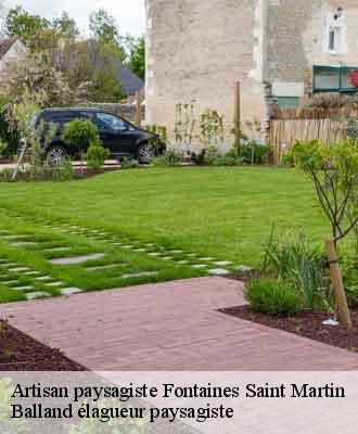 Artisan paysagiste  fontaines-saint-martin-69270 Balland élagueur paysagiste