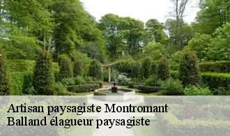 Artisan paysagiste  montromant-69610 Balland élagueur paysagiste