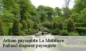 Artisan paysagiste  la-mulatiere-69350 Balland élagueur paysagiste