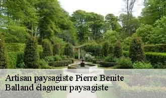 Artisan paysagiste  pierre-benite-69310 Balland élagueur paysagiste