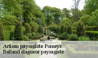 Artisan paysagiste  pomeys-69590 Balland élagueur paysagiste