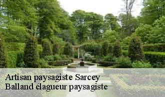 Artisan paysagiste  sarcey-69490 Balland élagueur paysagiste