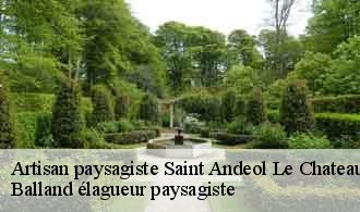 Artisan paysagiste  saint-andeol-le-chateau-69700 Balland élagueur paysagiste