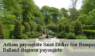 Artisan paysagiste  saint-didier-sur-beaujeu-69430 Balland élagueur paysagiste