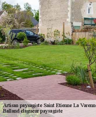 Artisan paysagiste  saint-etienne-la-varenne-69460 Balland élagueur paysagiste