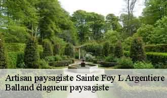 Artisan paysagiste  sainte-foy-l-argentiere-69610 Balland élagueur paysagiste