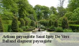 Artisan paysagiste  saint-igny-de-vers-69790 Balland élagueur paysagiste