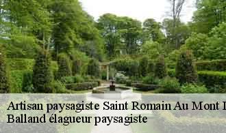 Artisan paysagiste  saint-romain-au-mont-d-or-69270 Balland élagueur paysagiste