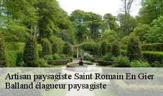 Artisan paysagiste  saint-romain-en-gier-69700 Balland élagueur paysagiste