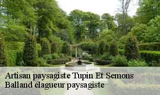 Artisan paysagiste  tupin-et-semons-69420 Balland élagueur paysagiste