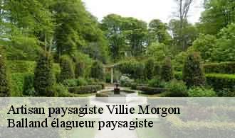 Artisan paysagiste  villie-morgon-69910 Balland élagueur paysagiste