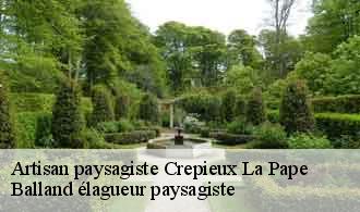 Artisan paysagiste  crepieux-la-pape-69140 Balland élagueur paysagiste