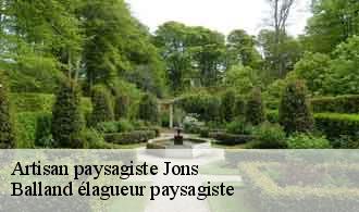 Artisan paysagiste  jons-69330 Balland élagueur paysagiste