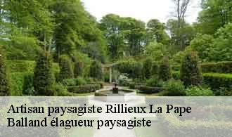 Artisan paysagiste  rillieux-la-pape-69140 Balland élagueur paysagiste