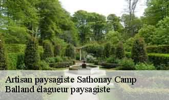 Artisan paysagiste  sathonay-camp-69580 Balland élagueur paysagiste