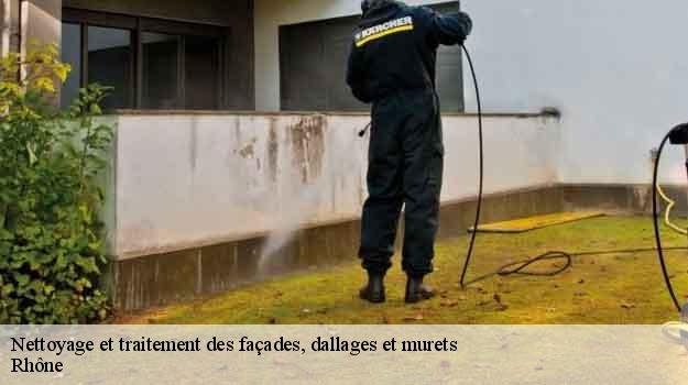 Nettoyage et traitement des façades, dallages et murets 69 Rhône  Balland élagueur paysagiste