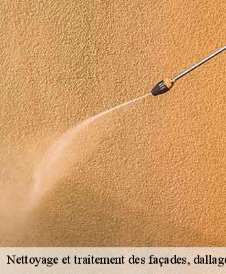 Nettoyage et traitement des façades, dallages et murets  caluire-et-cuire-69300 Balland élagueur paysagiste