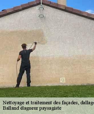 Nettoyage et traitement des façades, dallages et murets  drace-69220 Balland élagueur paysagiste