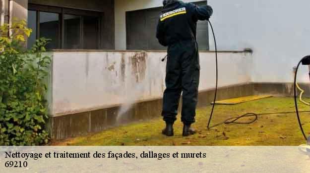 Nettoyage et traitement des façades, dallages et murets  nuelles-69210 Balland élagueur paysagiste