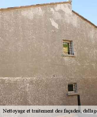 Nettoyage et traitement des façades, dallages et murets  tupin-et-semons-69420 Balland élagueur paysagiste