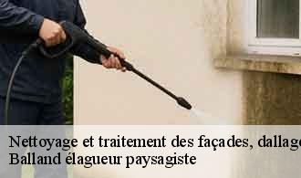 Nettoyage et traitement des façades, dallages et murets  decines-charpieu-69150 Balland élagueur paysagiste